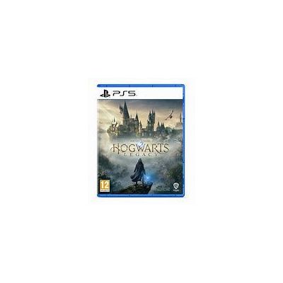 Hogwarts Legacy Standard Edition - PlayStation 5