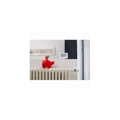 Têtes Thermostatiques connectées Basic - Duo Pack