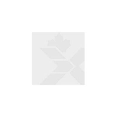 APPLE PENCIL 2EME GEN