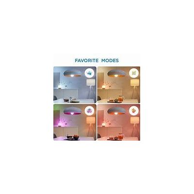 WiZ Remote Control w/batteries