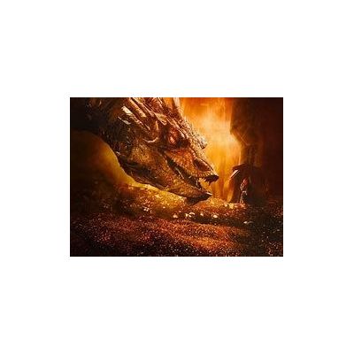 Le Hobbit : la désolation de Smaug - version longue - Blu-ra