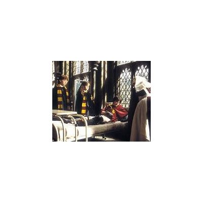 Harry Potter et la chambre des secrets Steelbook Blu-ray