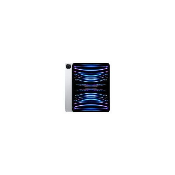 IPAD PRO 12-9\" WI-FI 256GO 6EM GEN"