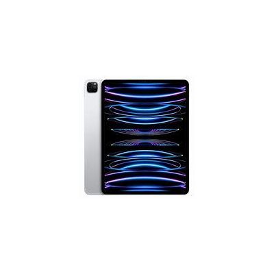 IPAD PRO 12-9\" WI-FI 256GO 6EM GEN"