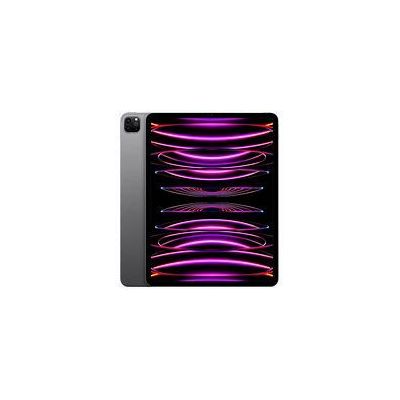 IPAD PRO 12-9\" WI-FI 256GO 6EM GEN"