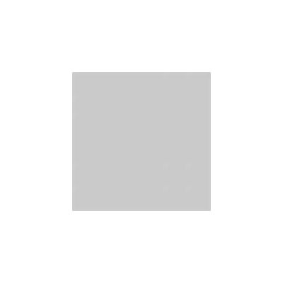 IPHONE LIGHTNING DOCK