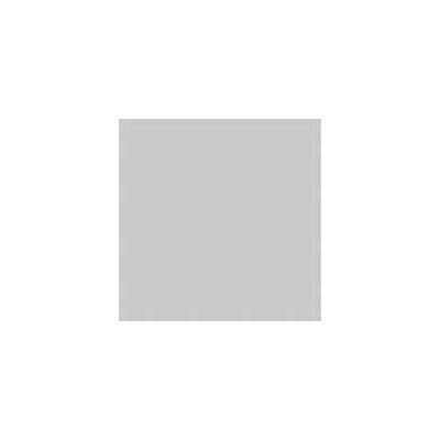 IPHONE LIGHTNING DOCK