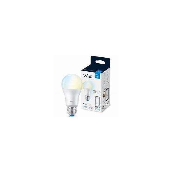 AMPOULE MODERNE Ampoule 60W A60 E27 | WiZ