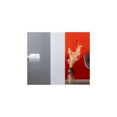 Têtes Thermostatiques connectées Basic - Duo Pack