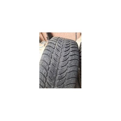 175/65R15 84T ESKIMO S3+ SAVA