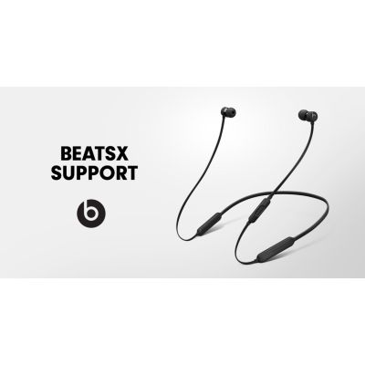 BEATS X