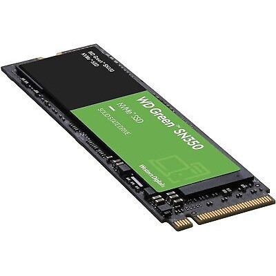 Western Digital SSD WD Green 480 Go M.2