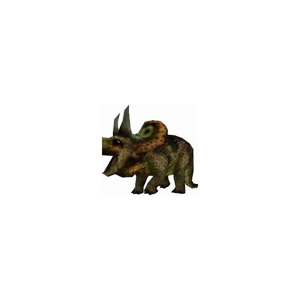 Carnivores