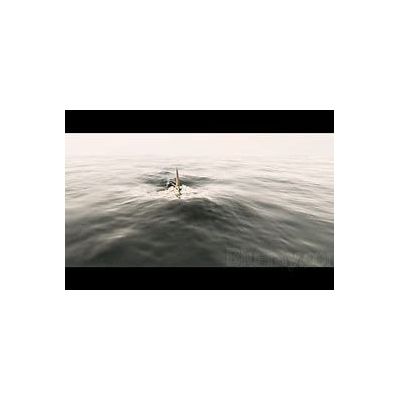 The Requin Blu-ray