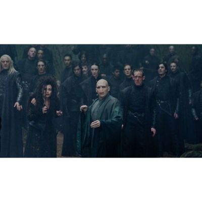 HARRY POTTER ET LES RELIQUES DE LA MORT 1 PARTIE