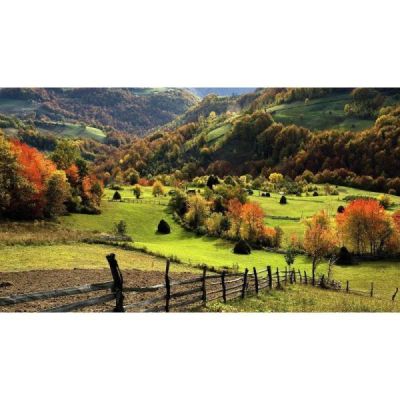 La Campagne de France DVD