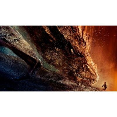 Le Hobbit : La désolation de Smaug [Version Longue-Blu-Ray +