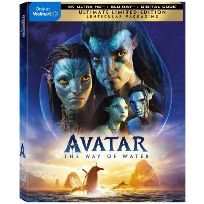 Le Retour [Blu-Ray]