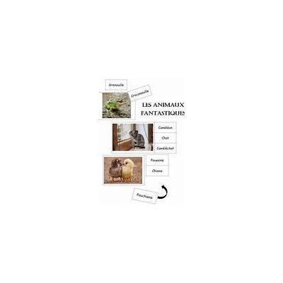 les animaux fantastiques