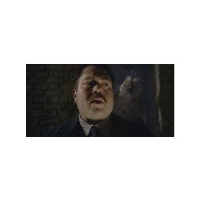 les animaux fantastiques les crimes de rindelwald