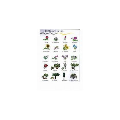 naturellement fleurs et plantes bluray dvd