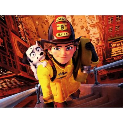 Vaillante DVD