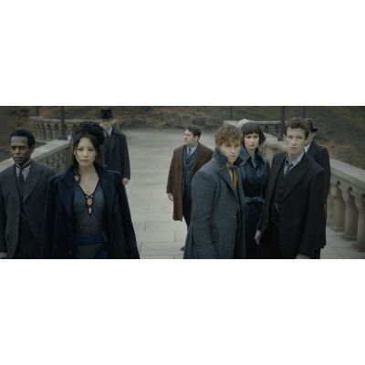 les animaux fantastiques les crimes de rindelwald