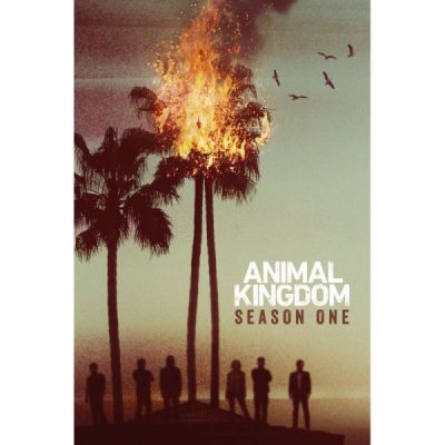 Animal Kingdom-Saison 1 [Blu-Ray]