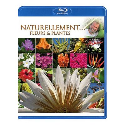 Naturellement fleurs et plantes