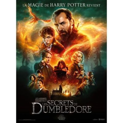 Les Secrets de Dumbledore