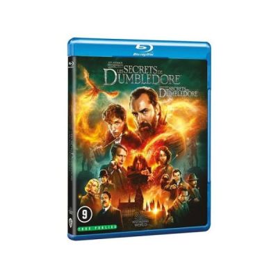 Les Animaux fantastiques 3 : Les Secrets de Dumbledore DVD