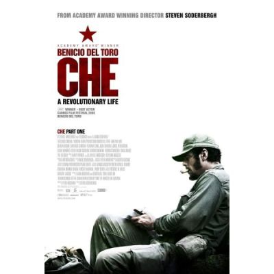 Che - 1ère Partie - L'Argentin