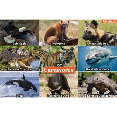 Carnivores