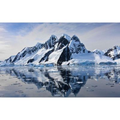 ARTIC
