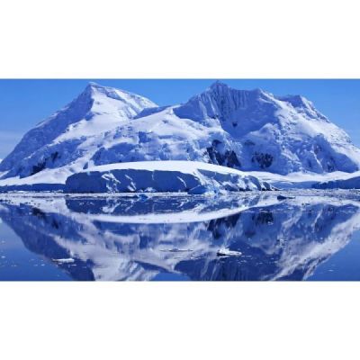 ARTIC