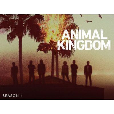 Animal Kingdom-Saison 1 [Blu-Ray]