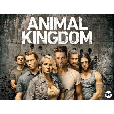 Animal Kingdom-Saison 1 [Blu-Ray]
