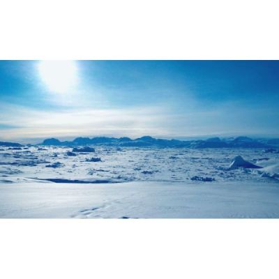 ARTIC