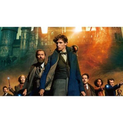 LE SECRET DE DUMBLEDORE