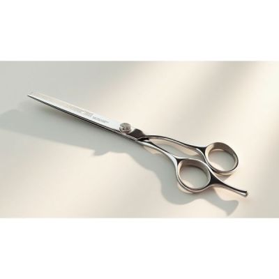ciseaux de coiffure  asdir 1