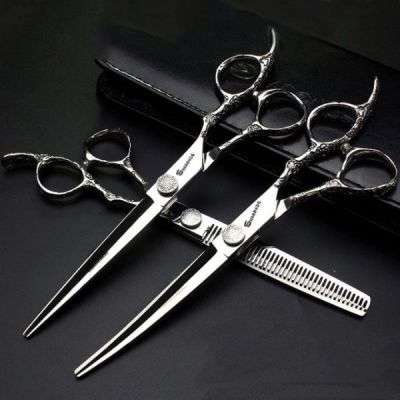 ciseaux de coiffure profess