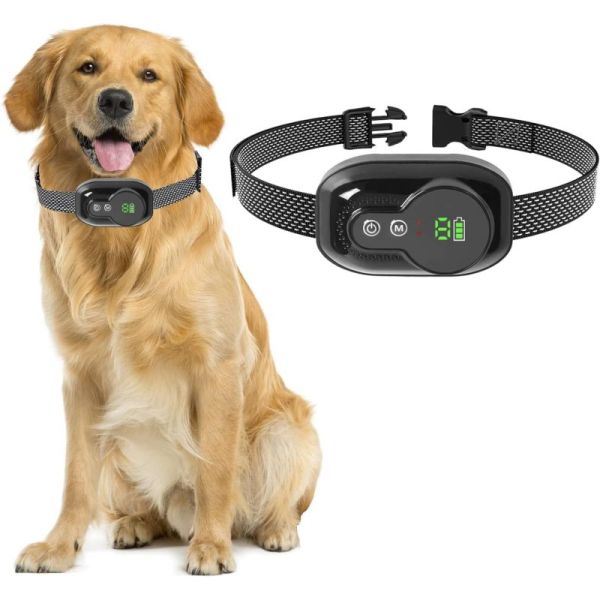 collier anti aboiement chien