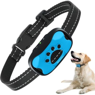 collier anti aboiement chien