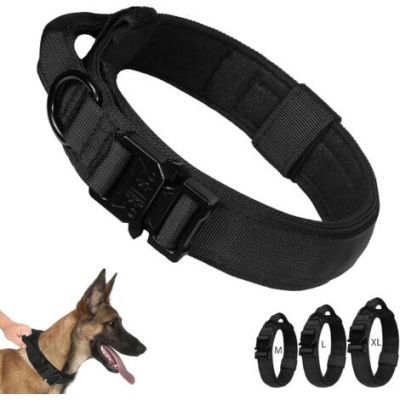 collier de chien tactique a