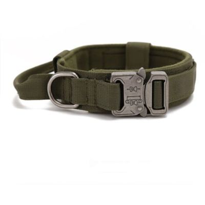 collier de chien tactique a