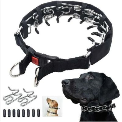 collier de dressage50cm
