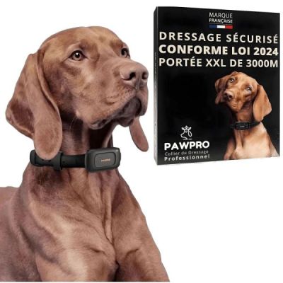collier de dressage50cm