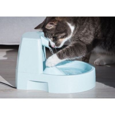 fontaine  eau pour chats