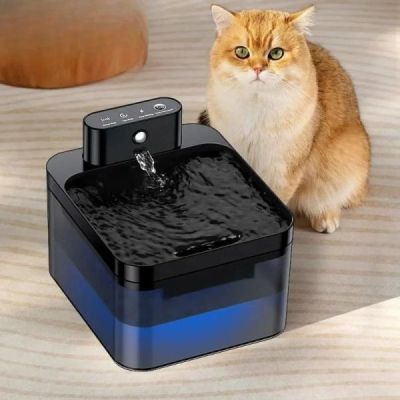 fontaine  eau pour chats