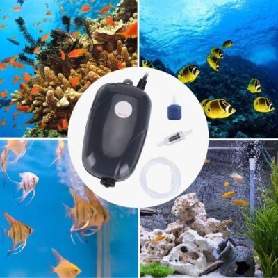 hurrise arateur daquarium
